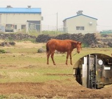 (济州市，牛岛2015.08) 设计农场内容管理