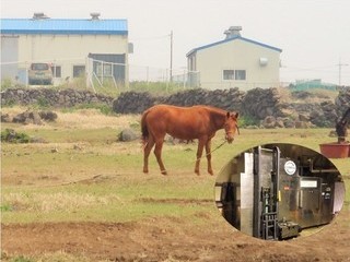 (济州市，牛岛2015.08) 设计农场内容管理